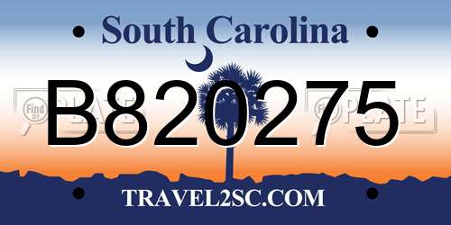 B820275 South Carolina License Plate
