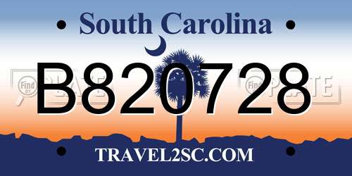 B820728 South Carolina License Plate