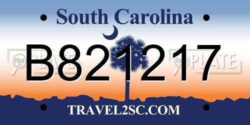 B821217 South Carolina License Plate