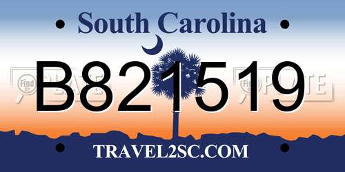 B821519 South Carolina License Plate