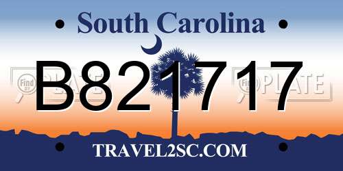 B821717 South Carolina License Plate