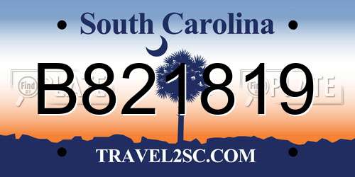 B821819 South Carolina License Plate