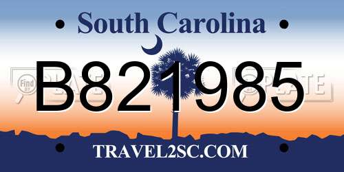 B821985 South Carolina License Plate