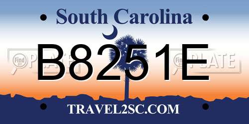 B8251E South Carolina License Plate