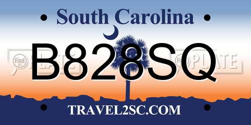 B828SQ South Carolina License Plate