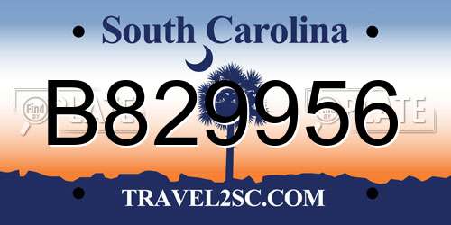 B829956 South Carolina License Plate