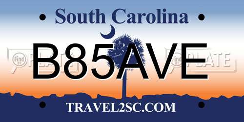 B85AVE South Carolina License Plate