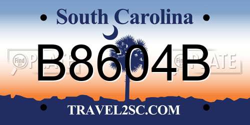 B8604B South Carolina License Plate