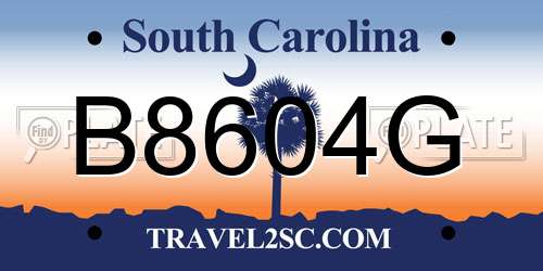 B8604G South Carolina License Plate