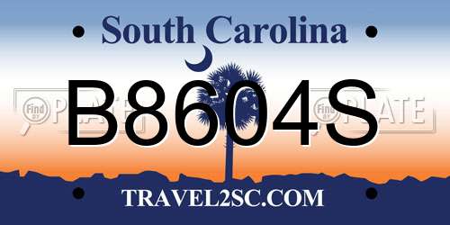 B8604S South Carolina License Plate
