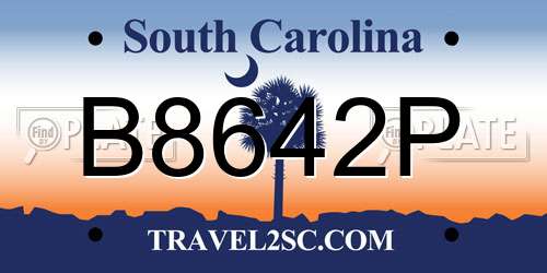 B8642P South Carolina License Plate