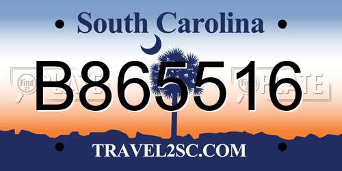 B865516 South Carolina License Plate