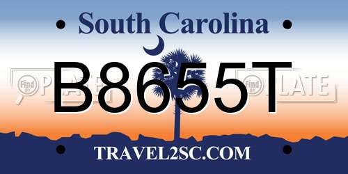 B8655T South Carolina License Plate