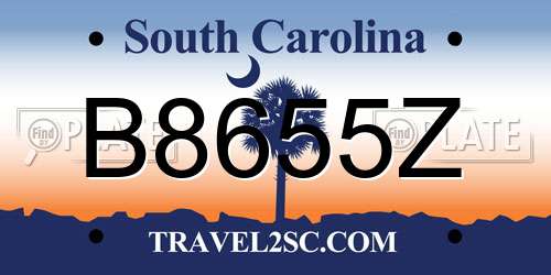 B8655Z South Carolina License Plate