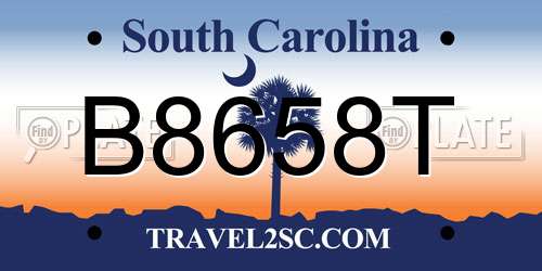B8658T South Carolina License Plate