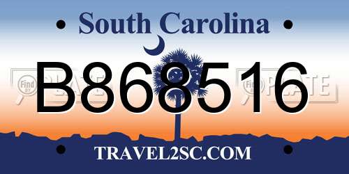 B868516 South Carolina License Plate