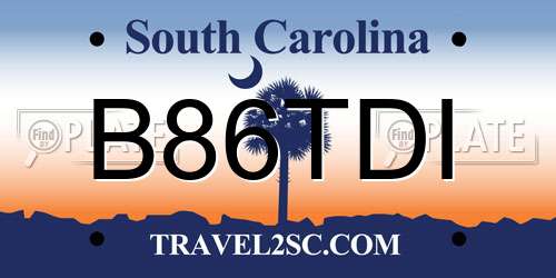 B86TDI South Carolina License Plate