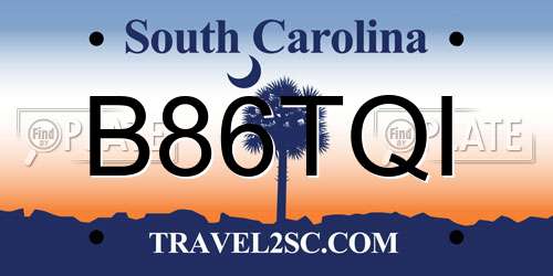 B86TQI South Carolina License Plate