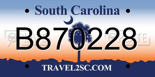 B870228 South Carolina License Plate