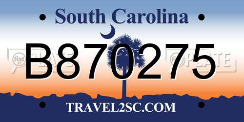 B870275 South Carolina License Plate