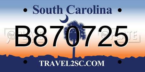 B870725 South Carolina License Plate