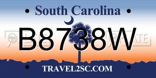 B8738W South Carolina License Plate