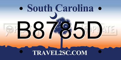 B8785D South Carolina License Plate