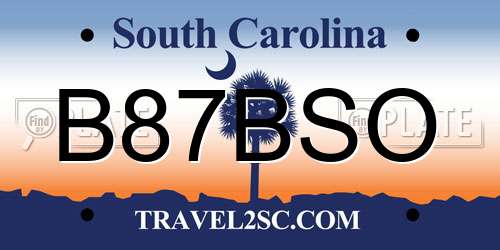 B87BSO South Carolina License Plate