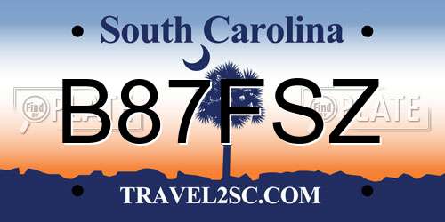 B87FSZ South Carolina License Plate
