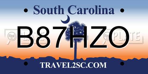 B87HZO South Carolina License Plate