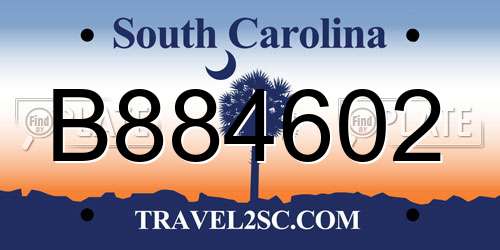 B884602 South Carolina License Plate