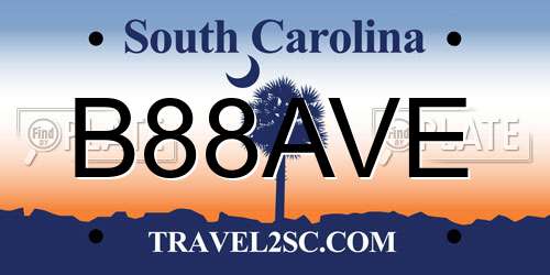 B88AVE South Carolina License Plate