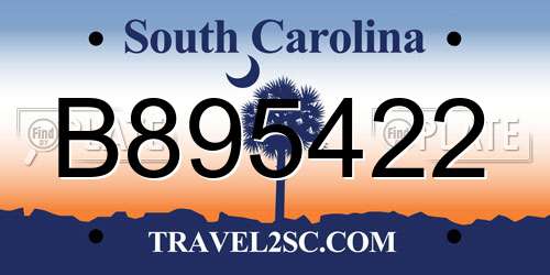 B895422 South Carolina License Plate