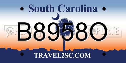 B8958O South Carolina License Plate