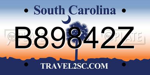 B89842Z South Carolina License Plate