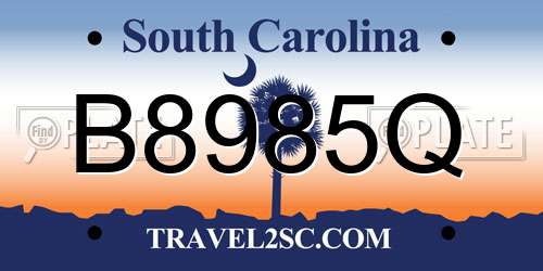 B8985Q South Carolina License Plate