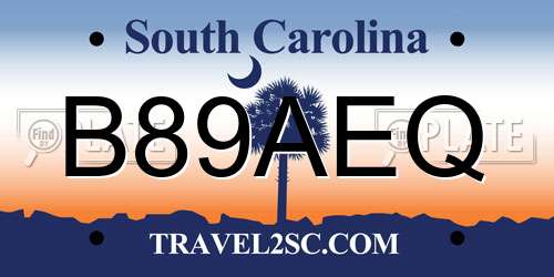 B89AEQ South Carolina License Plate