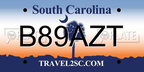 B89AZT South Carolina License Plate