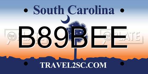 B89BEE South Carolina License Plate