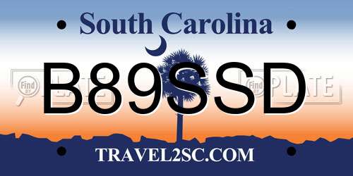 B89SSD South Carolina License Plate