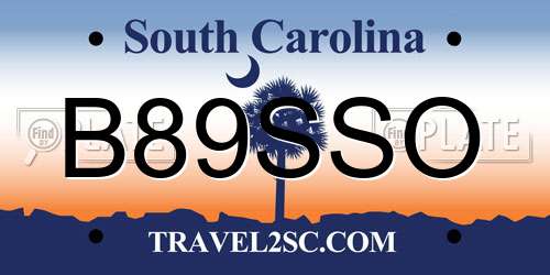 B89SSO South Carolina License Plate