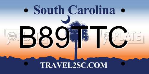 B89TTC South Carolina License Plate