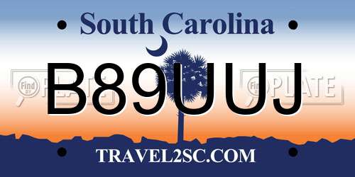 B89UUJ South Carolina License Plate