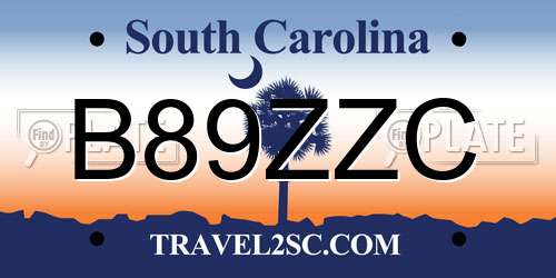 B89ZZC South Carolina License Plate