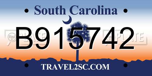B915742 South Carolina License Plate