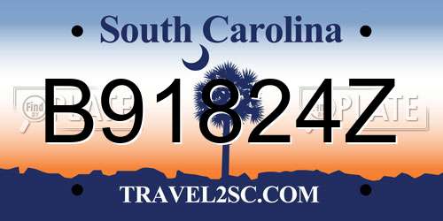 B91824Z South Carolina License Plate