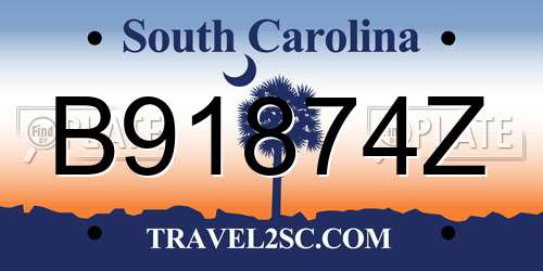 B91874Z South Carolina License Plate