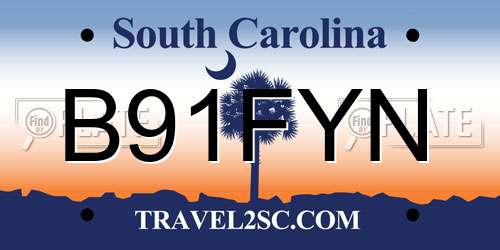B91FYN South Carolina License Plate