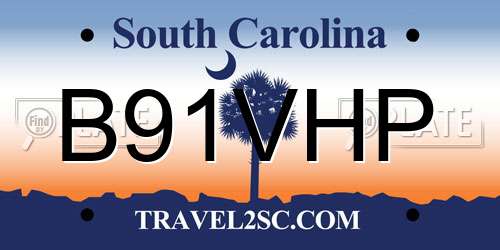 B91VHP South Carolina License Plate