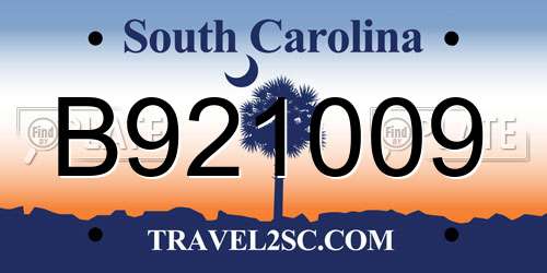 B921009 South Carolina License Plate